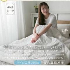 洗える肌掛け布団　シングルの画像