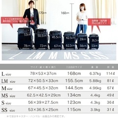 キャリーバッグの画像