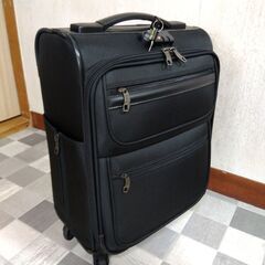 (再値下げ) Panviene パンビーヌ キャリーカート スーツケース ソフト Ｍサイズの画像