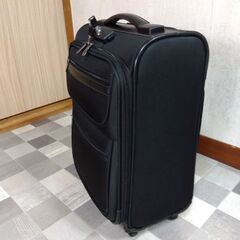 (再値下げ) Panviene パンビーヌ キャリーカート スーツケース ソフト Ｍサイズの画像