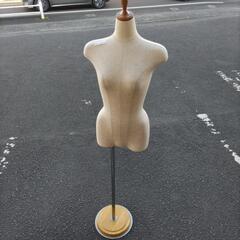 00155　トルソー