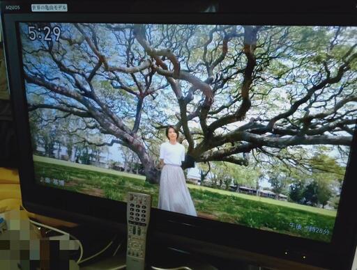 配送設置も対応[省電力]液晶テレビ