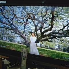 配送設置も対応[省電力]液晶テレビ