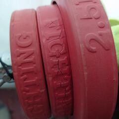 スポーツ フィットネス、トレーニングの画像