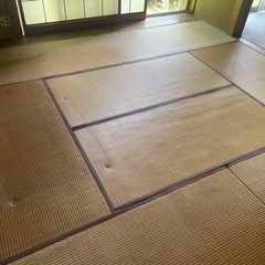 🉐無料🉐藤沢市片瀬山！古畳8枚あります！1枚からお気軽にどうぞの画像