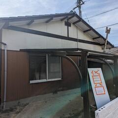 素敵なご家族に決まりました！ありがとうございます！とても静か　日...