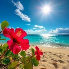 🌊🏖大人気エリア石垣島🏖🌊寮付き🏠焼肉店🥩正社員でウキウキリゾートライフ💙の画像