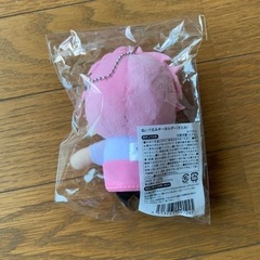 歌い手/ぬいぐるみの画像