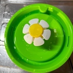 文鳥の水遊びに