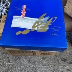 鯉のぼり