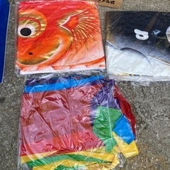 鯉のぼりの画像