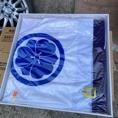 鯉のぼりの画像