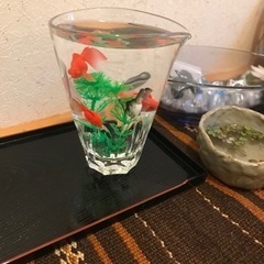 手作り金魚
の画像