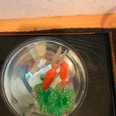 金魚3匹の画像
