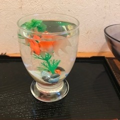 金魚3匹