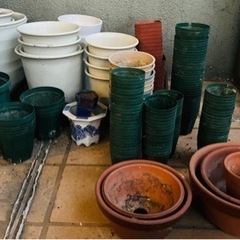 【募集終了】鉢・大量！！！観葉植物、多肉植物、サボテン好き！