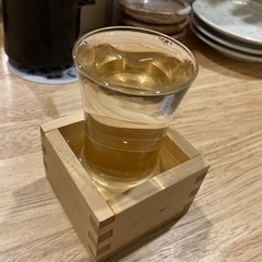 本日 5/17 福井駅周辺で飲みませんか！ - その他