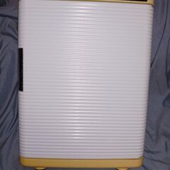 アピックス ポータブル保冷温庫 ACW620