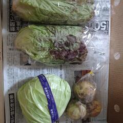 ボードンの袋と野菜を交換しませんか？