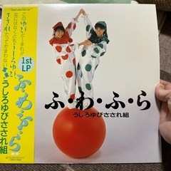 おニャン子クラブ LPレコード セットの画像