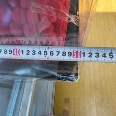 新品未開封❗️ポンポンベア/テディベア　 の画像