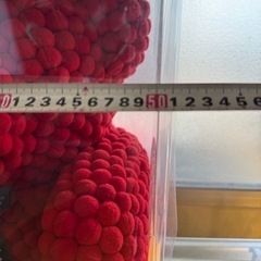 新品未開封❗️ポンポンベア/テディベア　 の画像