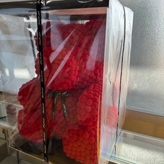 新品未開封❗️ポンポンベア/テディベア　 
