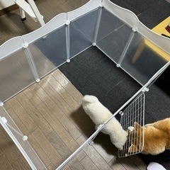 [取引中]犬 ペット用  サークル の画像