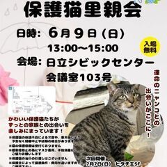 ひたちまちにゃか保護猫里親会6月