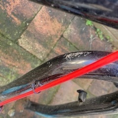 自転車 クロスバイクの画像