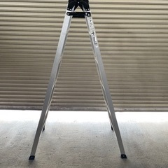 Hasegawa   はしご兼用脚立　RC2.0-18