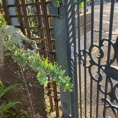 トーヨーエクステリア　門扉4枚　門柱2本　クラッシックフェンスの画像