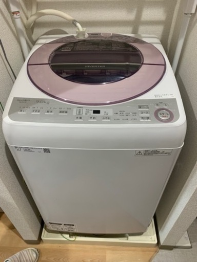 家電 生活家電 洗濯機