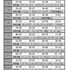犬服VERY保冷剤がたっぷり入るポケット付き3WAYクールウェア 7号の画像