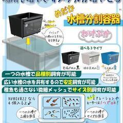 ミプラス 水槽分割容器 わけぷか 黒色の画像
