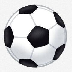 サッカー用品（小学生用）をお譲りいただけないでしょうか🙇