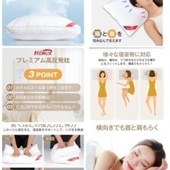 HERUX枕の画像