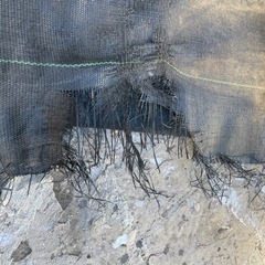 除草シート 200cm幅 長さ14m80cm 破れあり。の画像