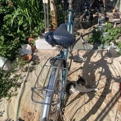 自転車 ロードバイクの画像