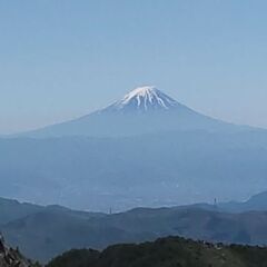 高尾山に花を見つけに行きませんか！