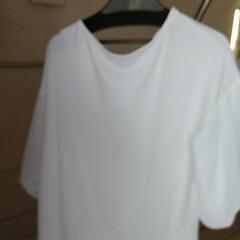 未使用品服/ファッション Tシャツズ