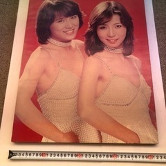 【当時物】ピンク・レディー パネルの画像