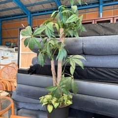 決まりました☆造花☆格安☆中古☆配達相談可能☆早い者勝ち🫵🏾新生活に♪