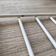 生活雑貨 家庭用品 キッチン雑貨の画像