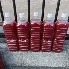 PSB 1.5L 1本