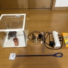 [お話中]メダカ　金魚　熱帯魚　飼育セット　一式