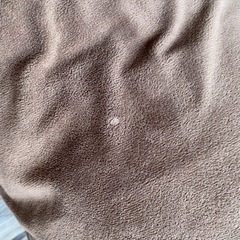 抱き枕（最終値下げの画像