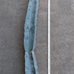【更に更に値下げ】②　星形柱サボテン　鬼面角　１３０ｃｍ弱