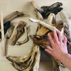 家具 インテリア雑貨/小物 置物、オブジェの画像