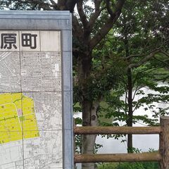 ⑳-3　朝活☆川越市内参加自由☆朝の公園で気持ちよく！みんなと一緒に気功で楽しく体を動かしませんか？の画像